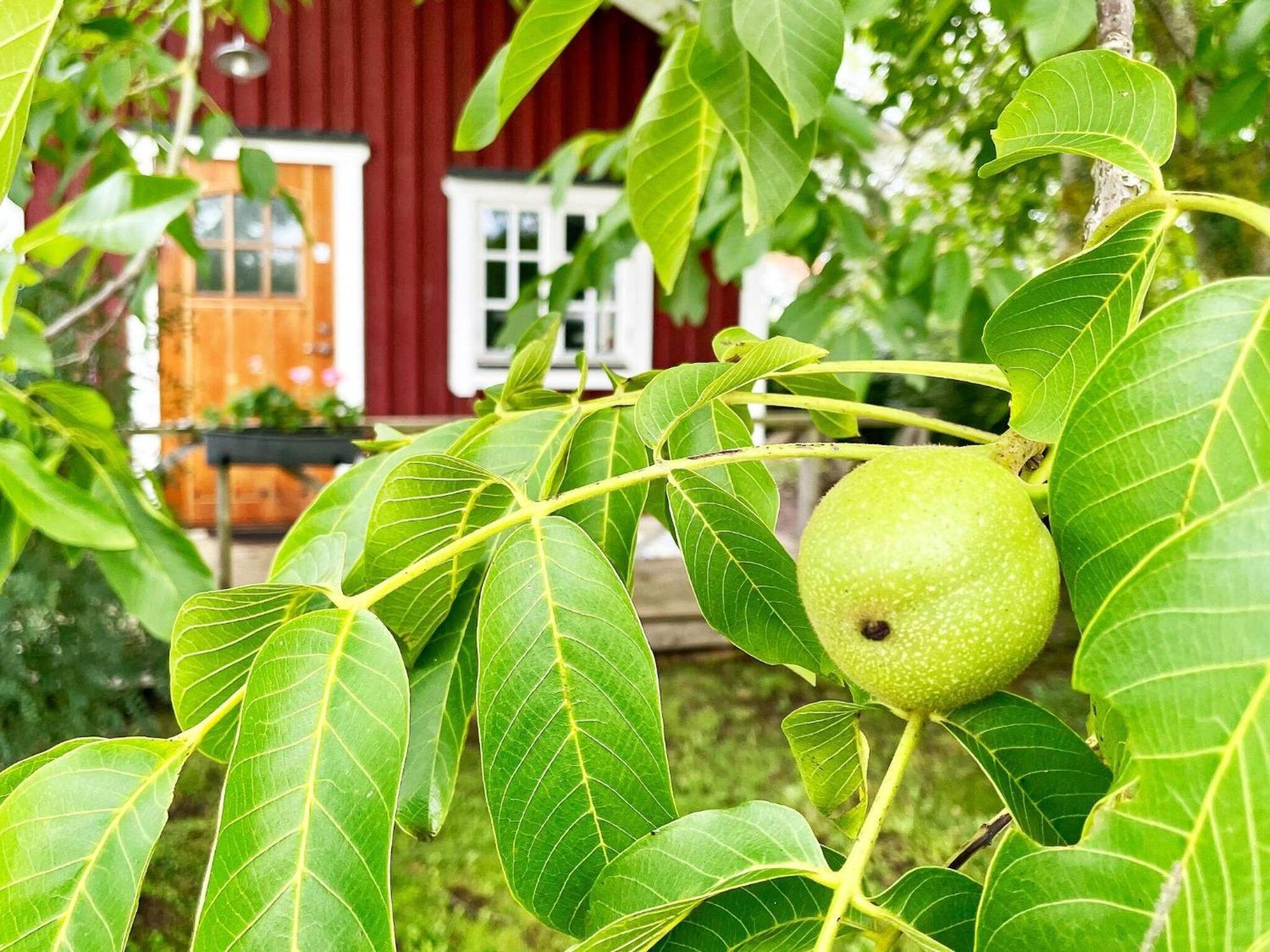 Holiday Home Malaretorpsvaegen ボリホルム エクステリア 写真